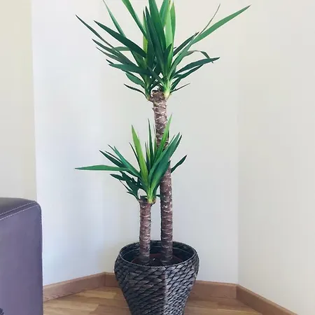 Apartamentos Best Ainsa アパート アインサ