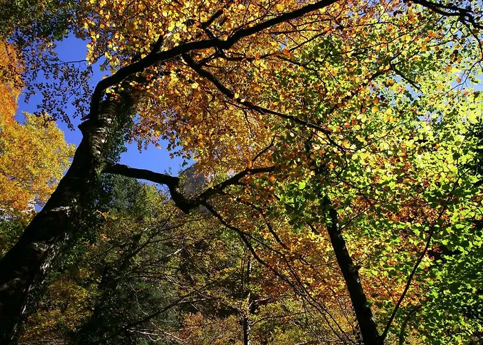 Apartamento Apartamentos Best Ainsa *