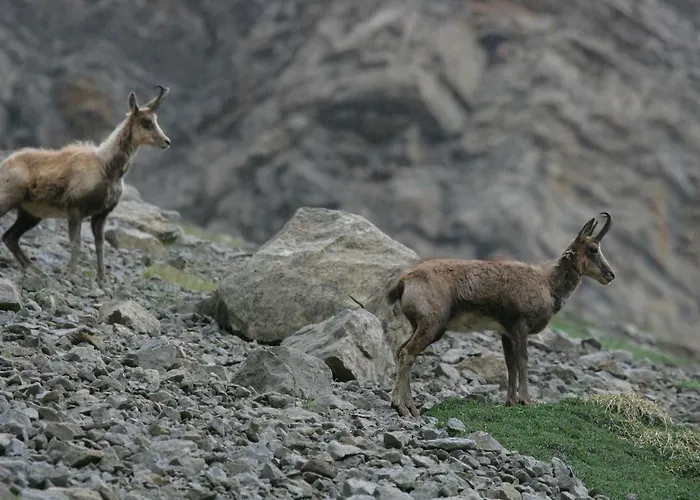 Apartamentos Best Ainsa * Aínsa