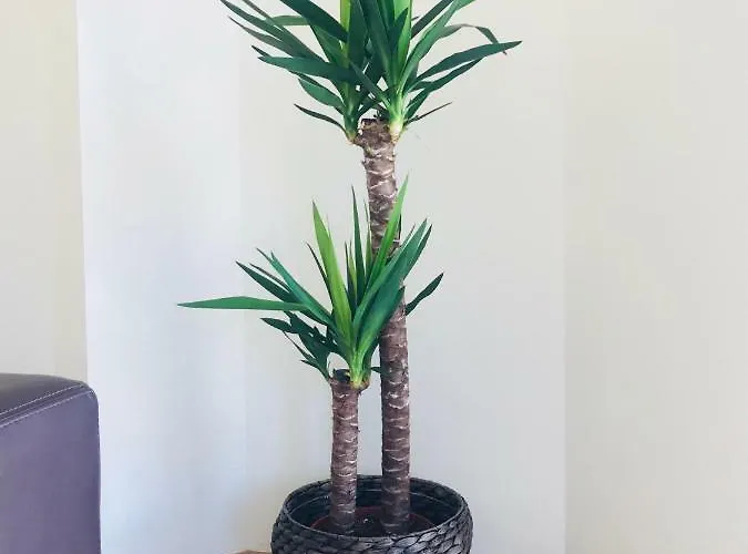 Apartamentos Best Ainsa Apartamento Aínsa